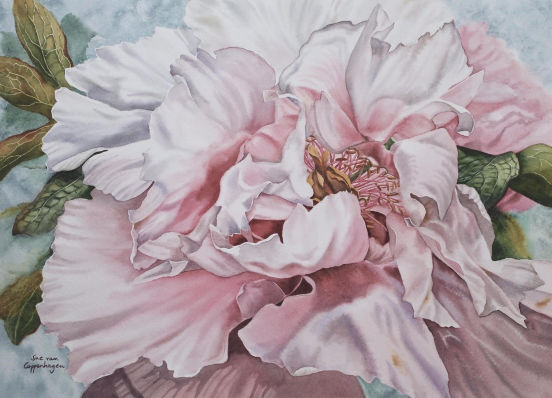 Peony Pink